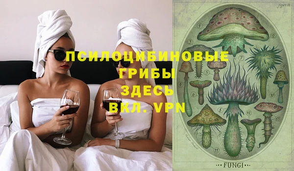 крисы Майский