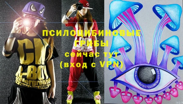 крисы Майский