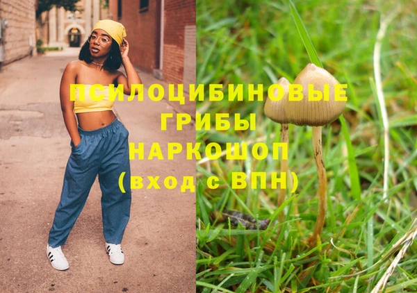 крисы Майский