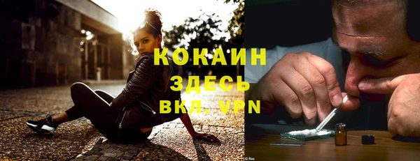 крисы Майский
